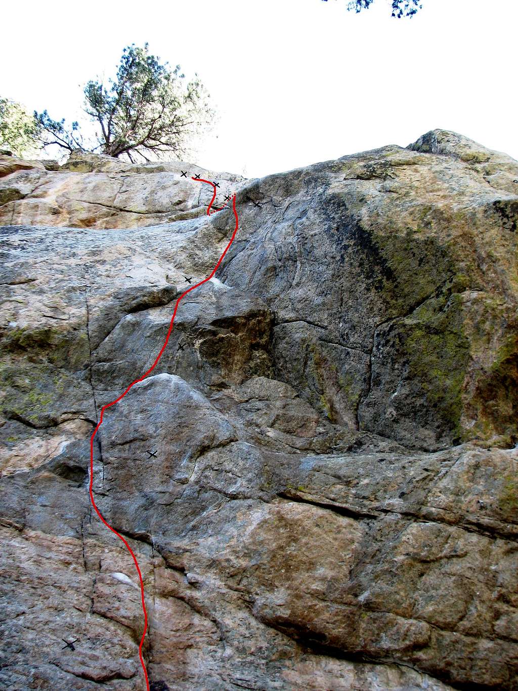Route of 'Animal Rights Activist' (5.12a)