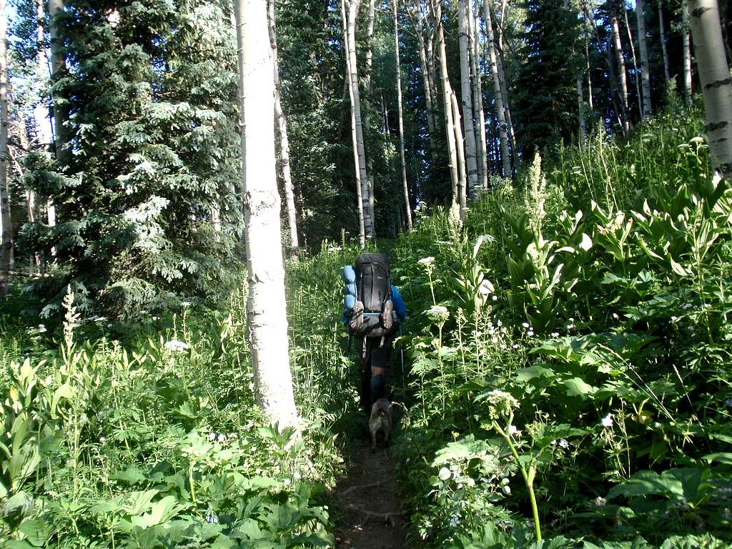 Trailriders Trail #401