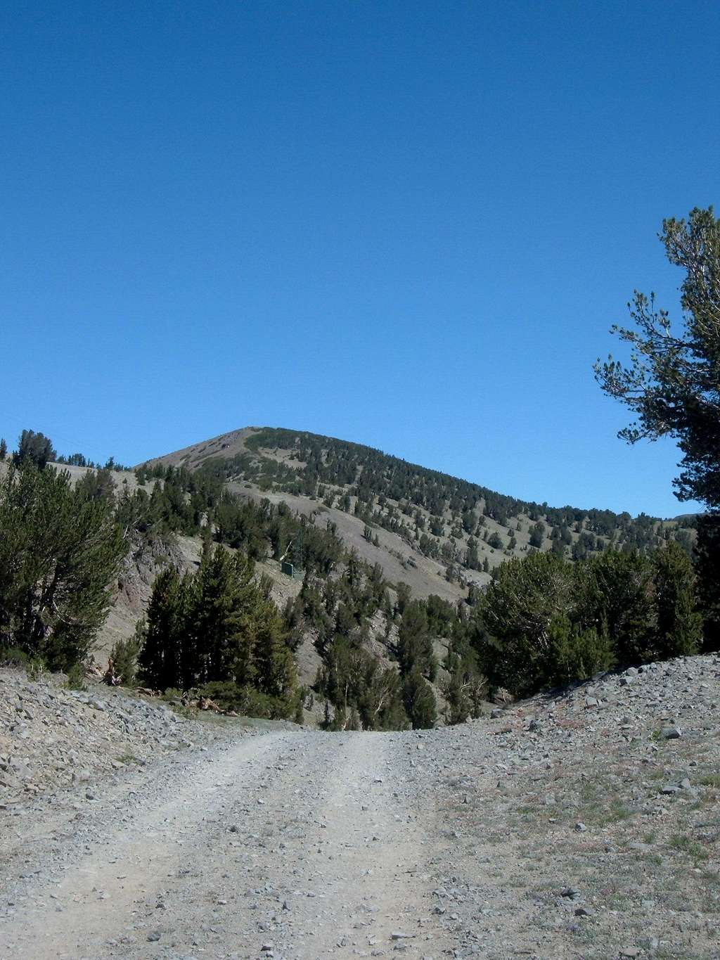  Mount Houghton from the Relay Peak Service Road