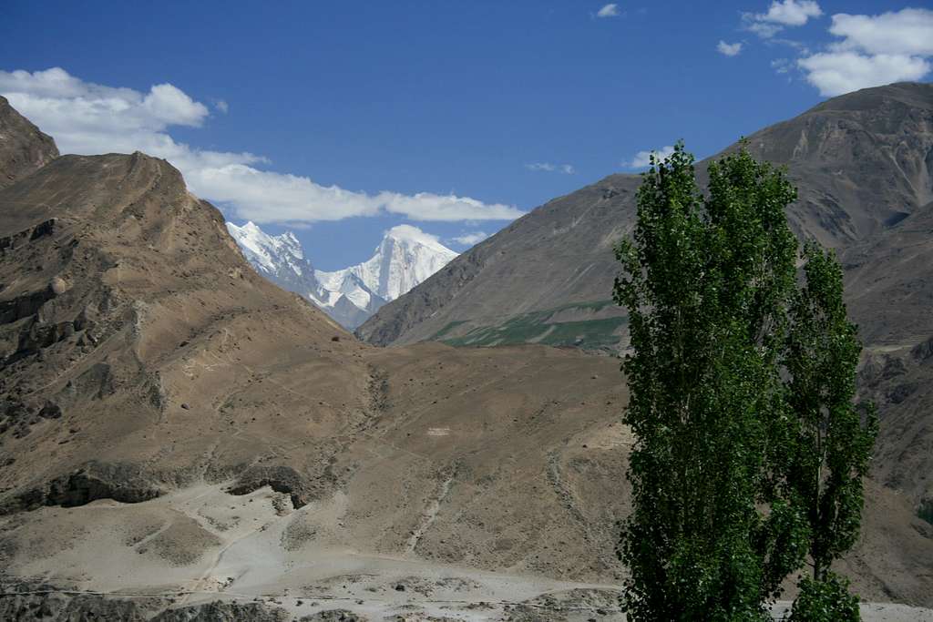 Spantik (7027m) from Karamabad