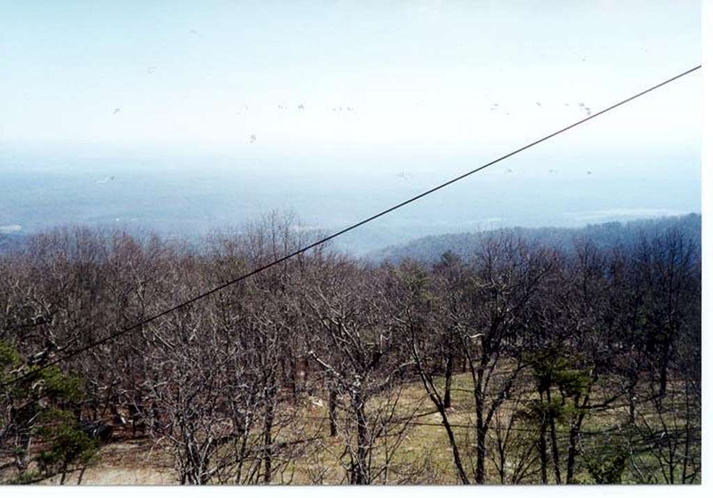 Cheaha Mountain -- a winter view from the observation tower (1999)