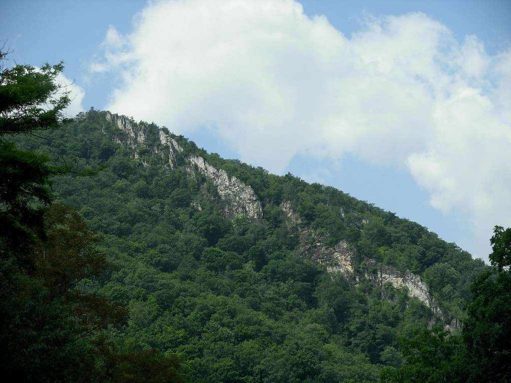 Common Allegheny Mountainside...