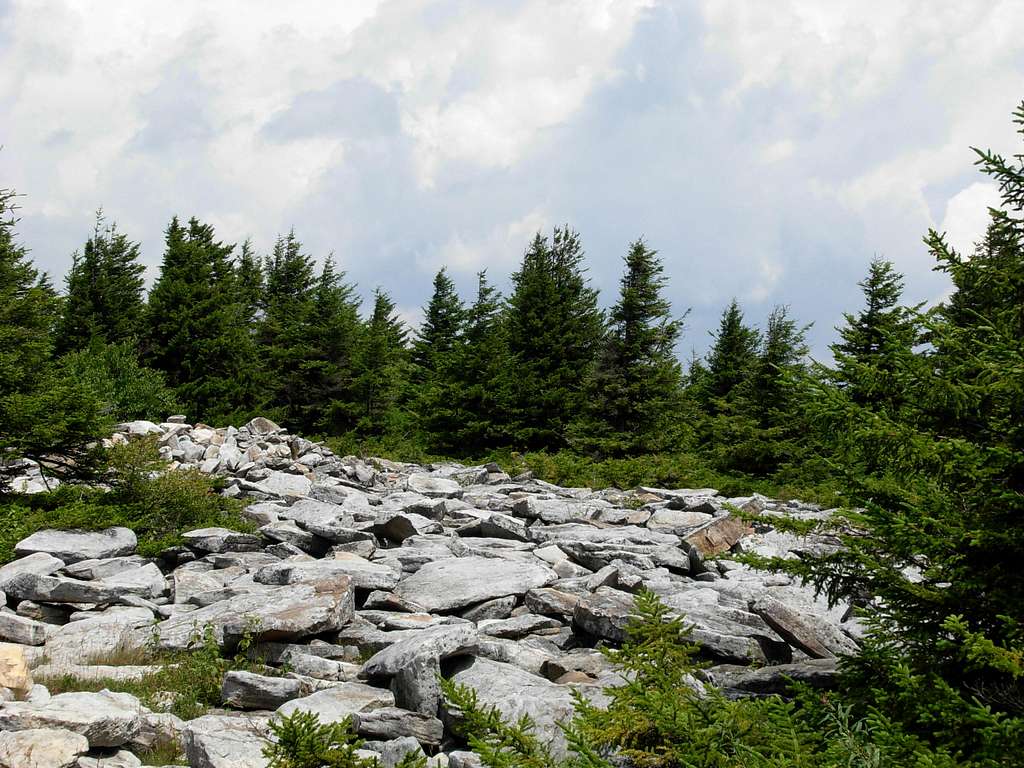 Rocky Landscape On Spruce Knob...
