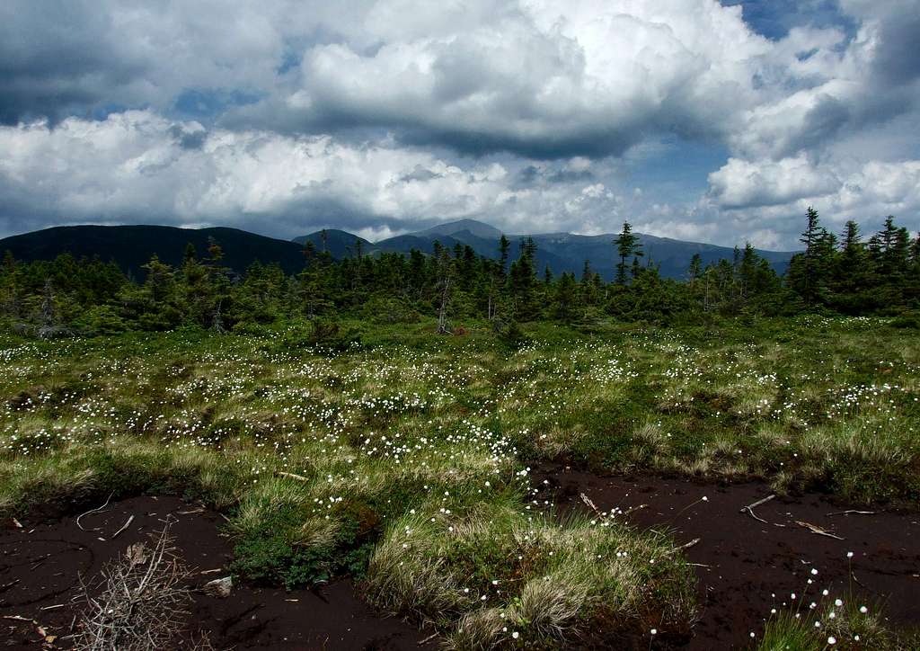 The Presidential Range