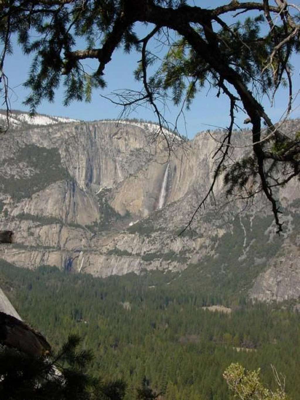 Yosemite Falls from Sierra...