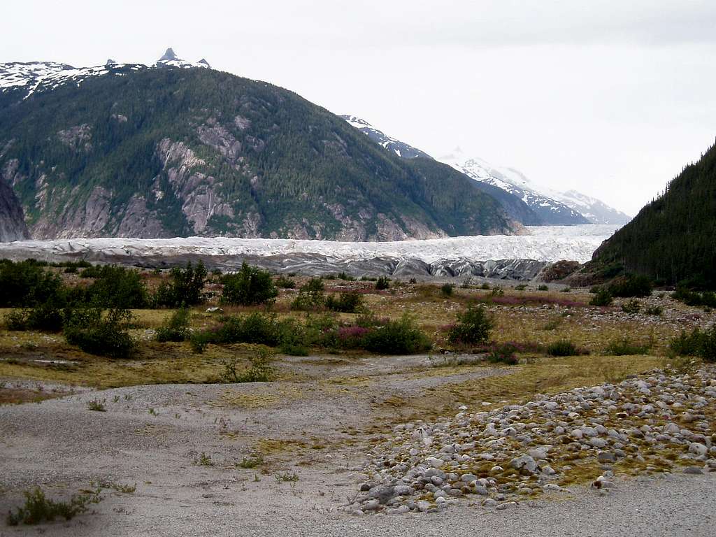 Bairds Glacier, Thomas Bay, AK