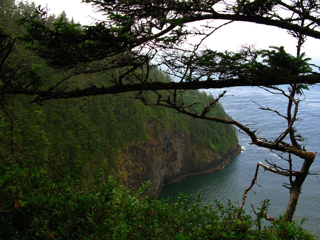 Sea Cliffs Meet the Pacific Ocean