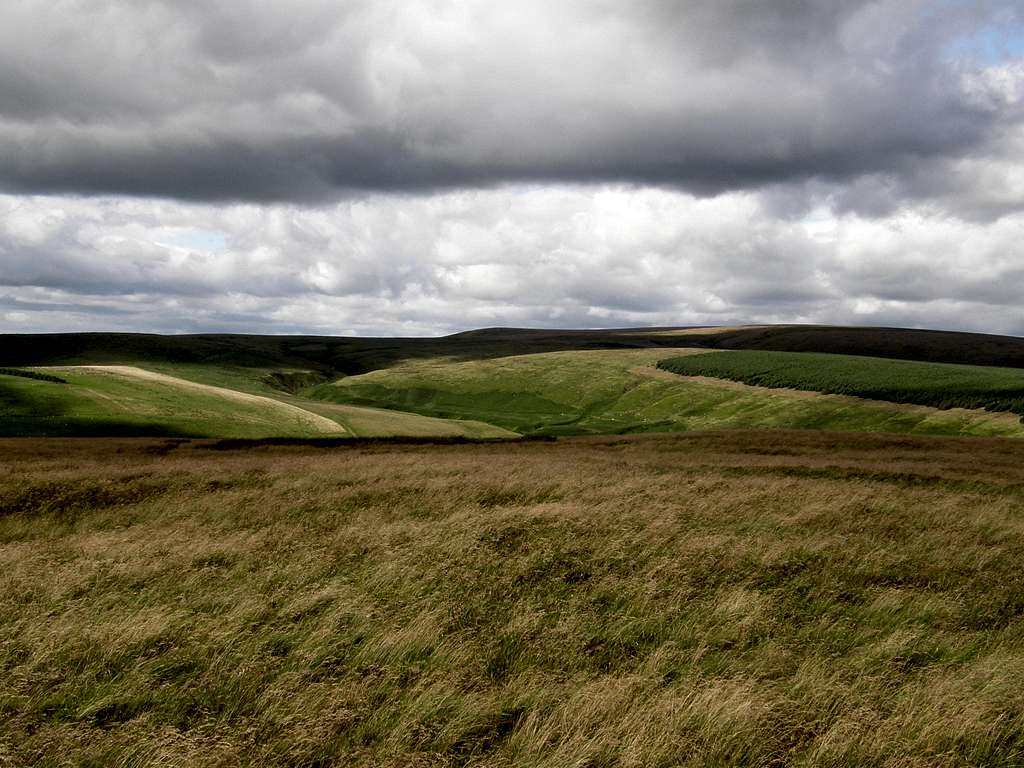 Nyth-grug - View North