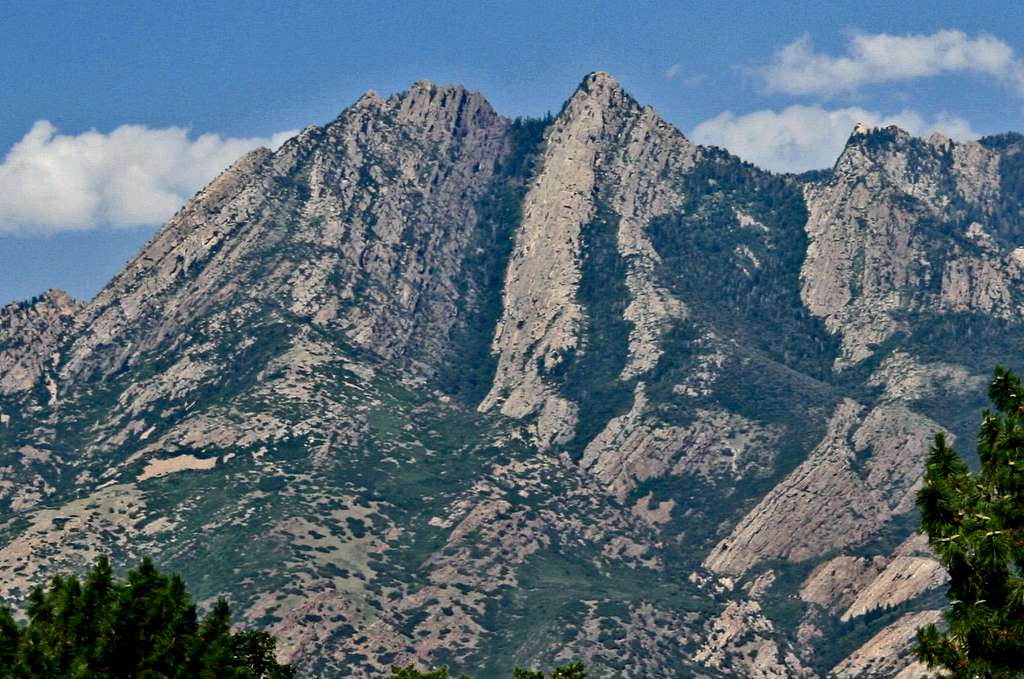 Mt Olympus from Murray