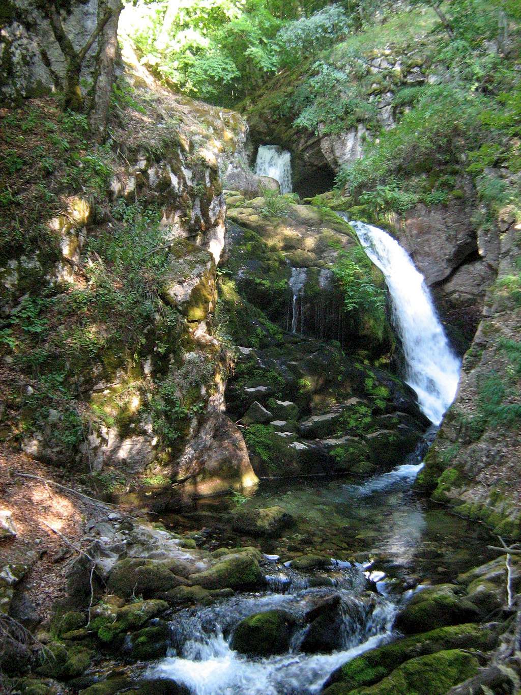 Tresonechka river