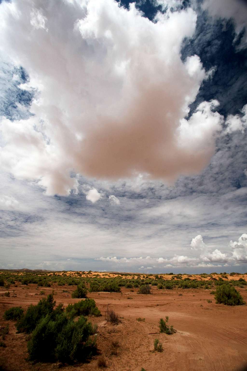 Land of Orange Clouds