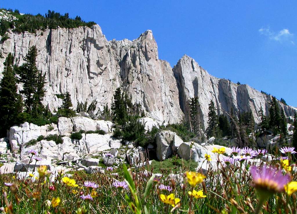 Wildflowers Below Lone Peak Cirque