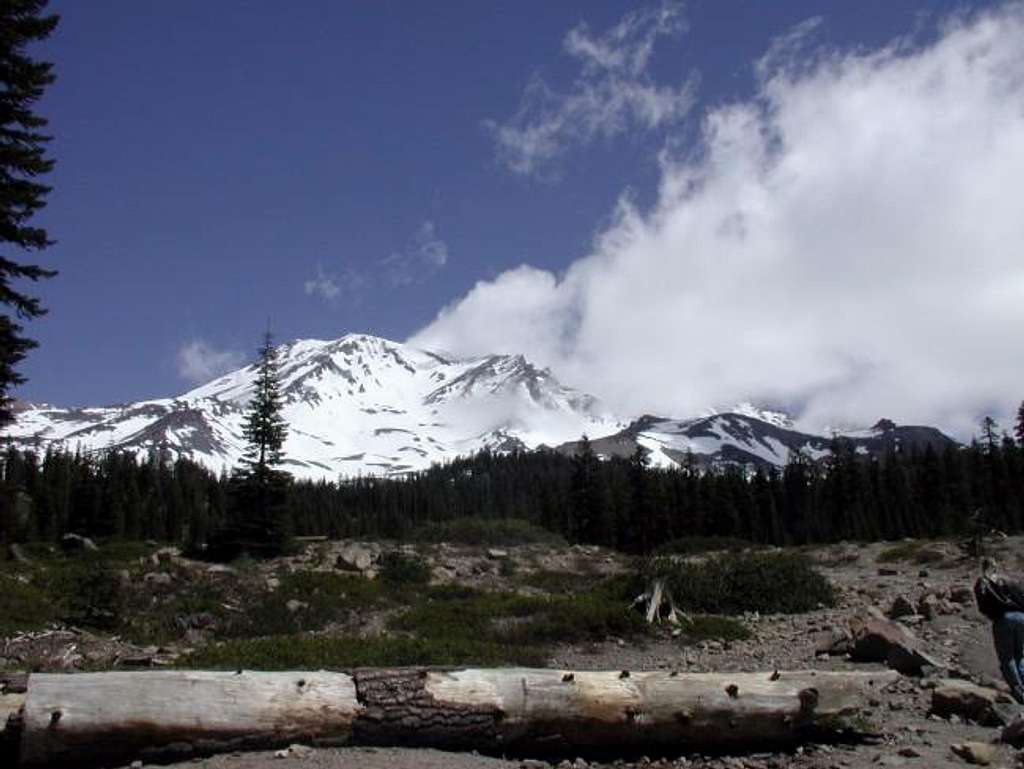 Looking up from Bunny Flats.