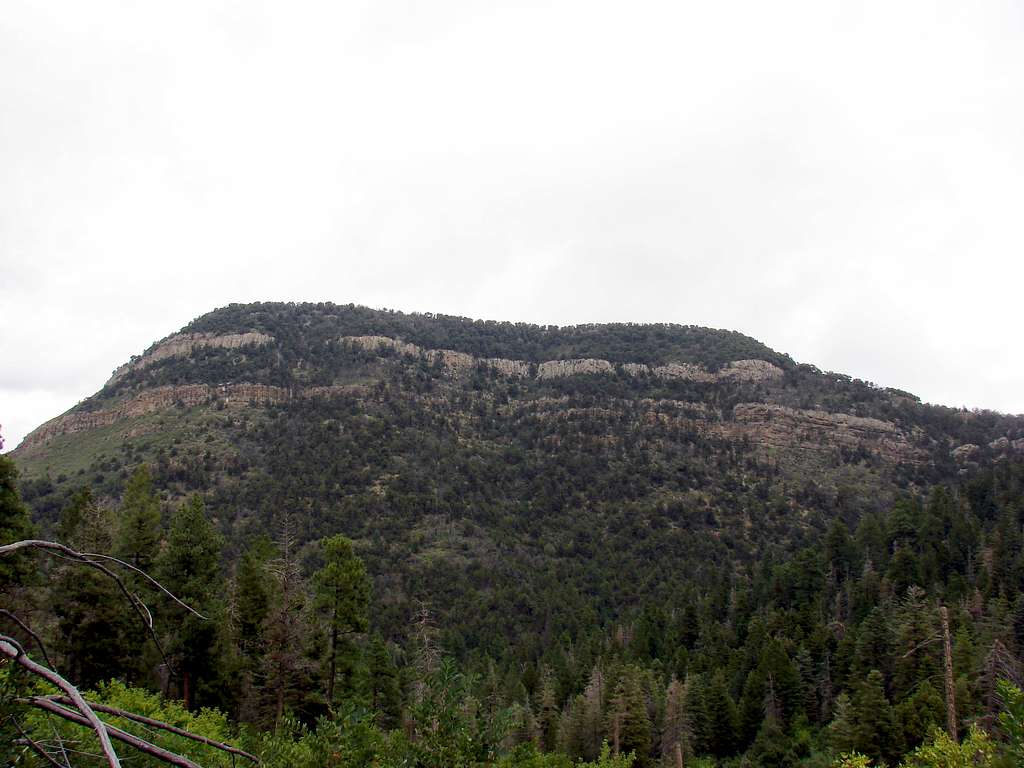 Palomas Peak