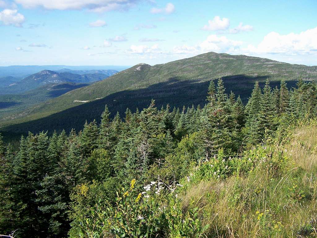 Mount Esther from Whiteface
