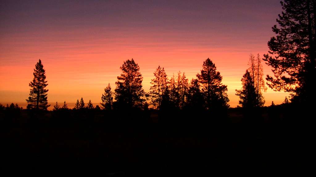 Lupine Meadows Sunrise