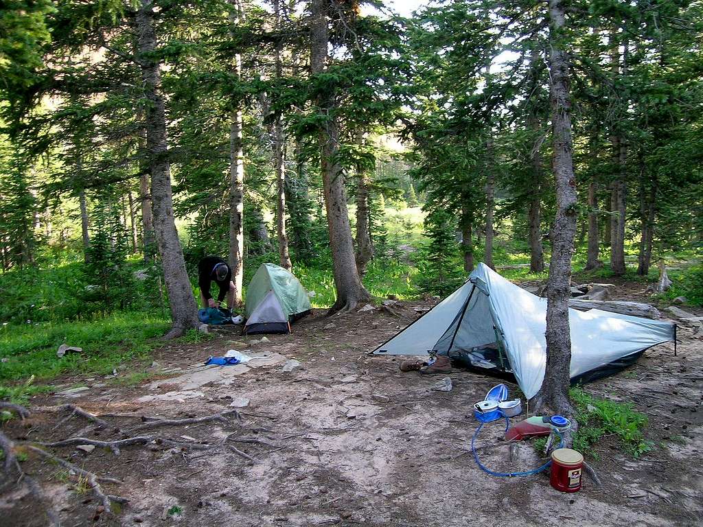 Navajo Lake Camp Site