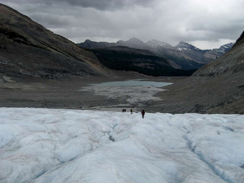 Lower Saskatchewan Glacier