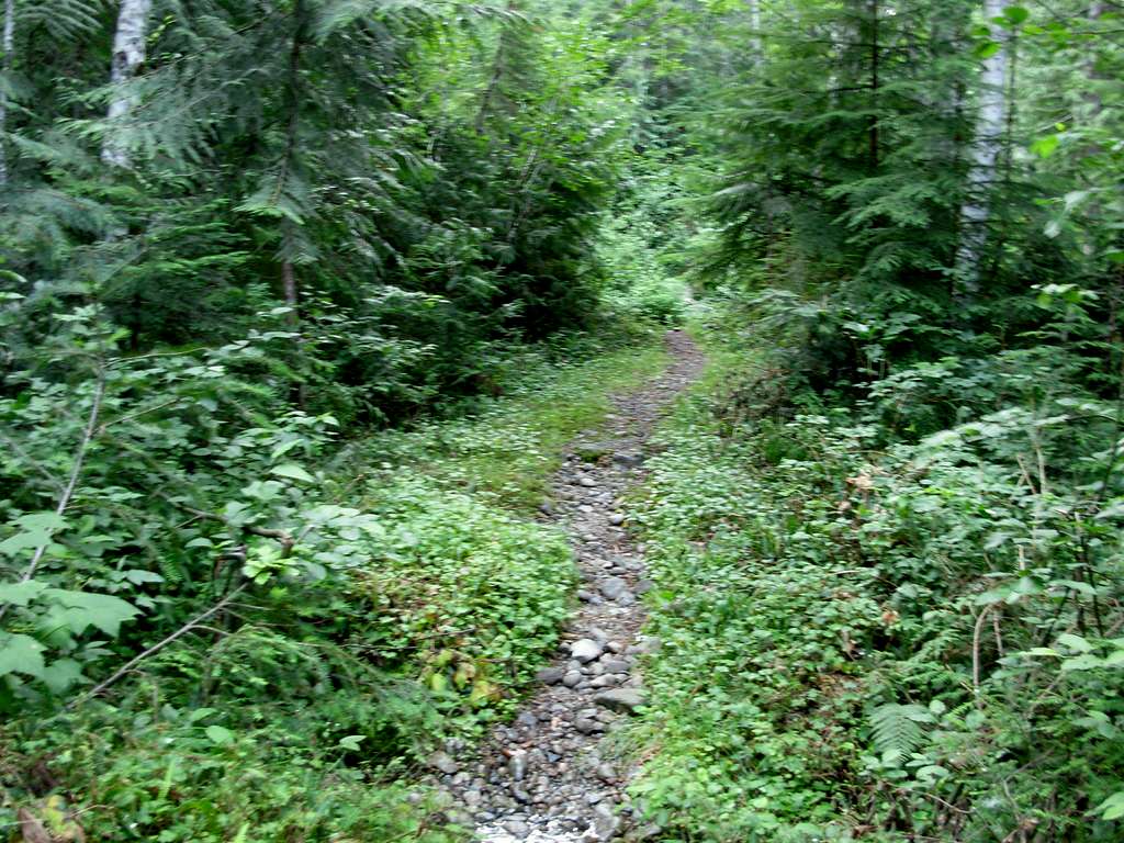 Bare Mountain Trail #1037