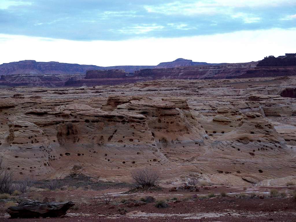 Pitted strata, southern Utah