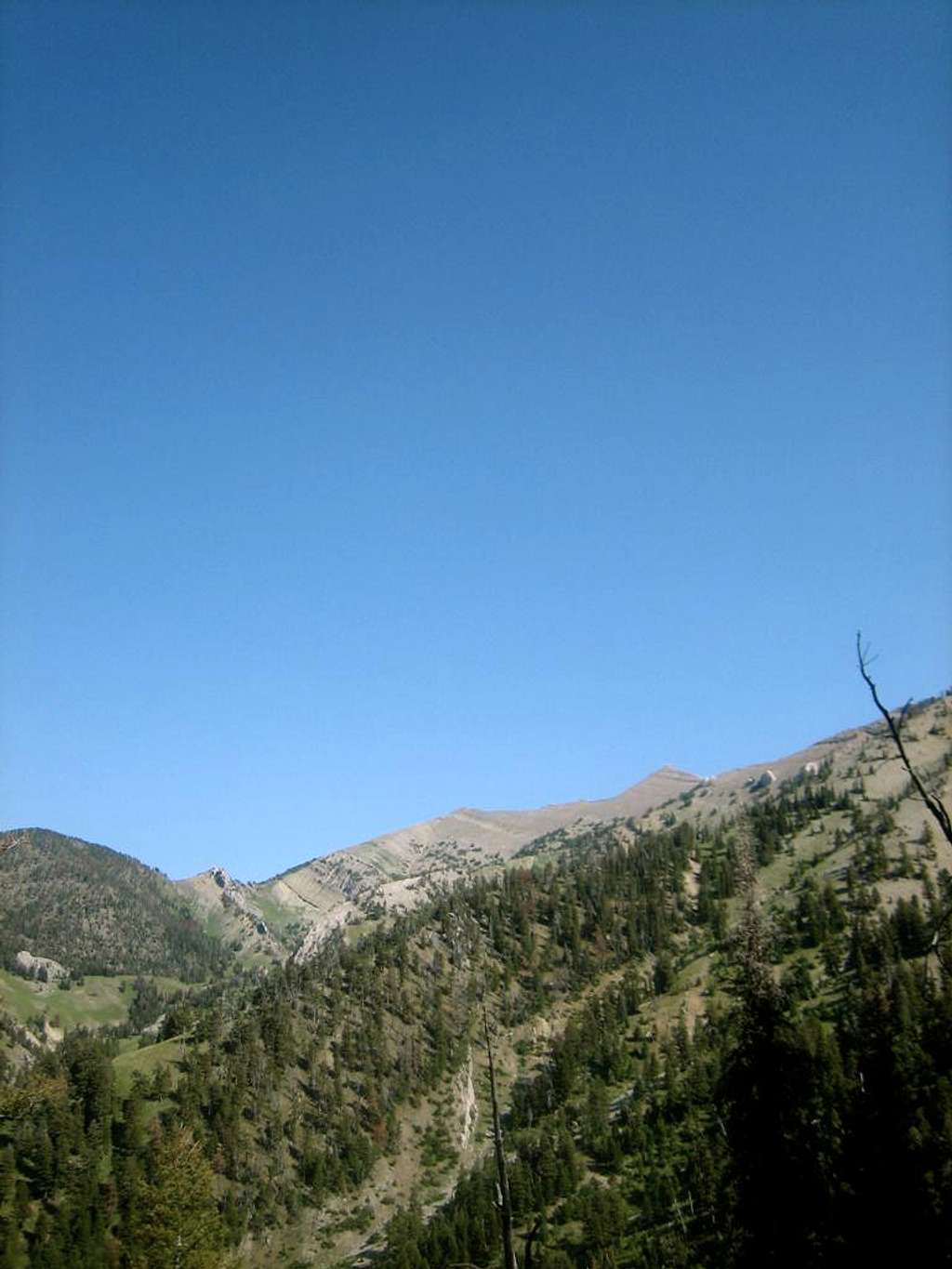 View up to Bridger Ridge from Nat'l Rec Trail