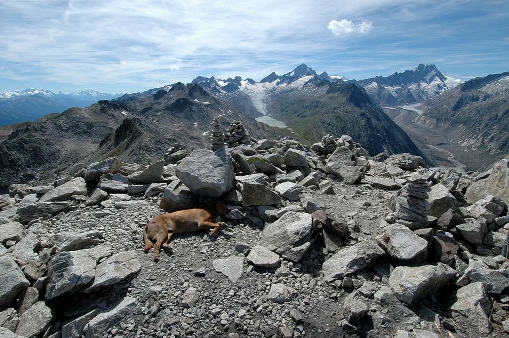 Siedelhorn