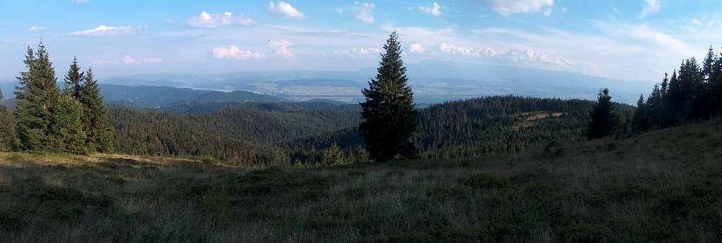 View to Tatras from Kiczora, Gorce