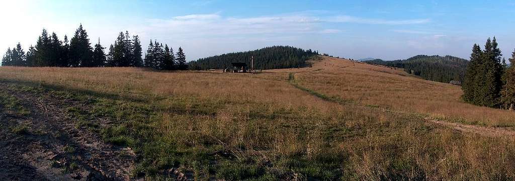 Meadow in Gorce