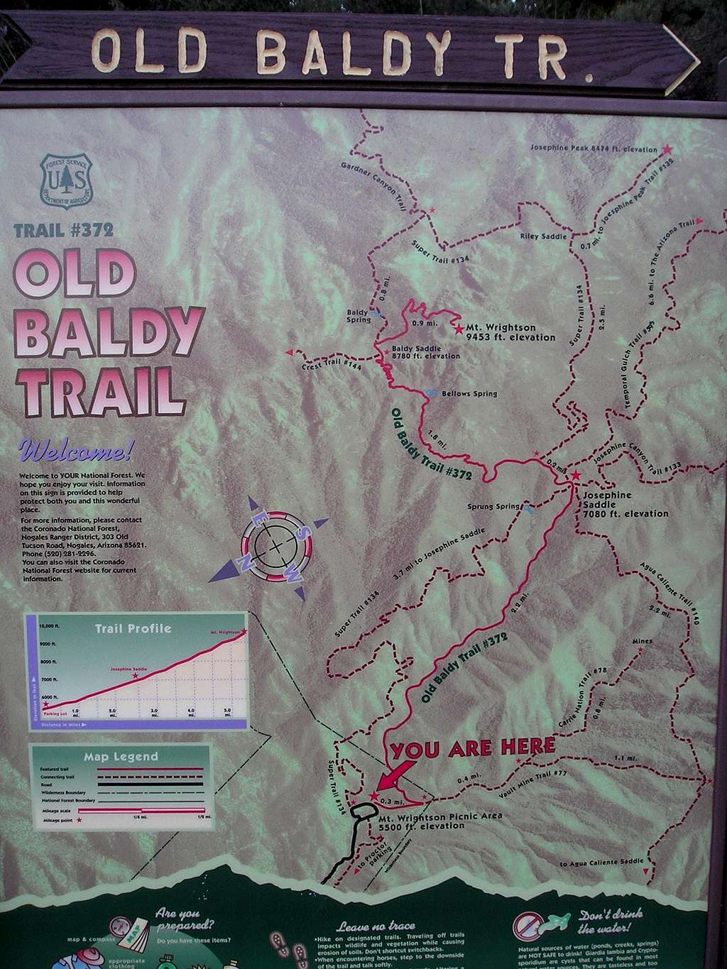 Old Baldy Trail