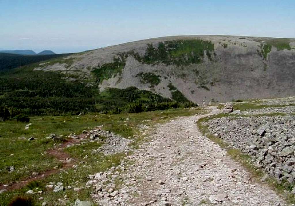 A view of a typical trail...