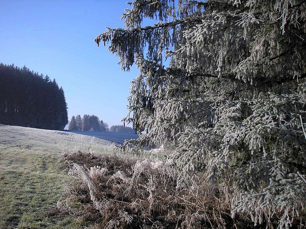 Early winter ambiance in the Allgäu