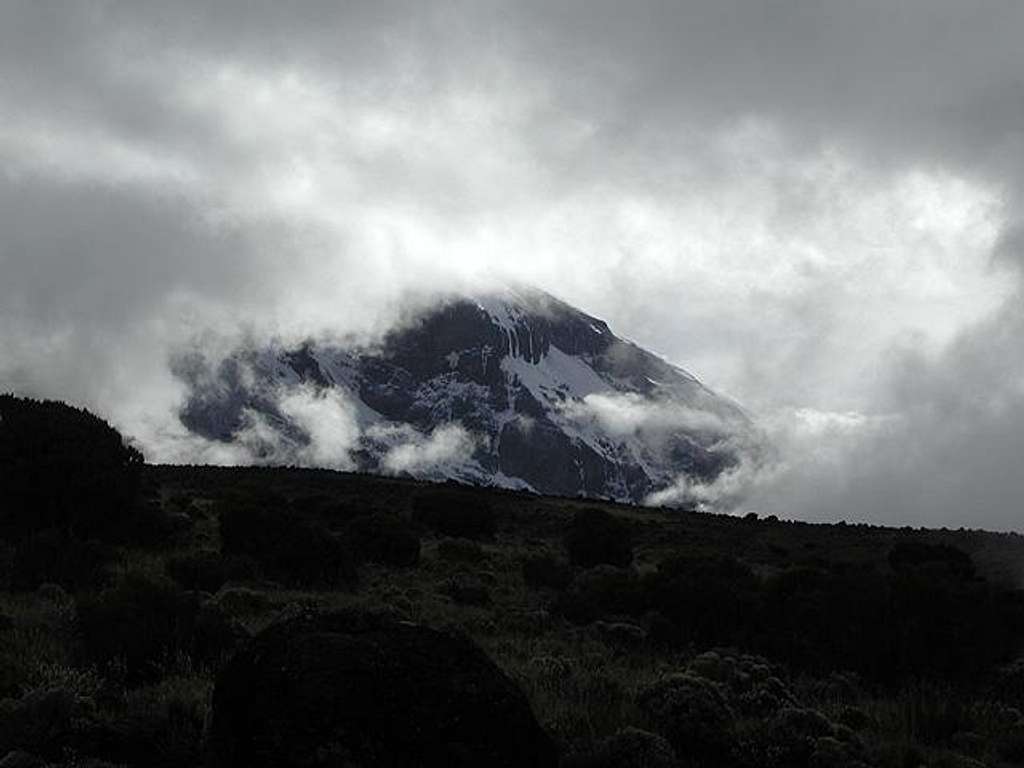 Kili in January is the type...