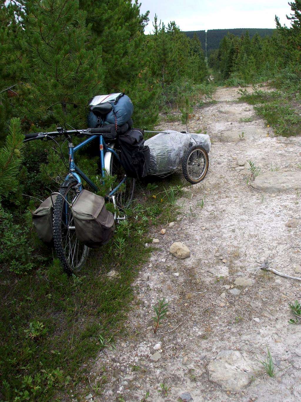 Bicycle and trailer on cutline