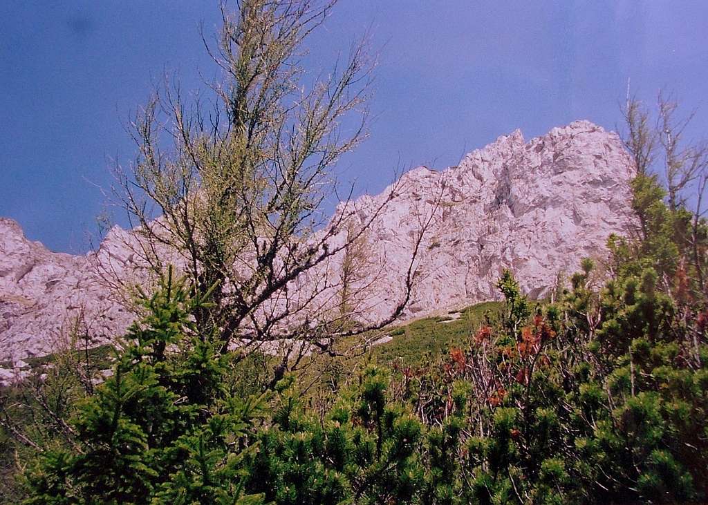 Heukuppe, summit cliff walls.