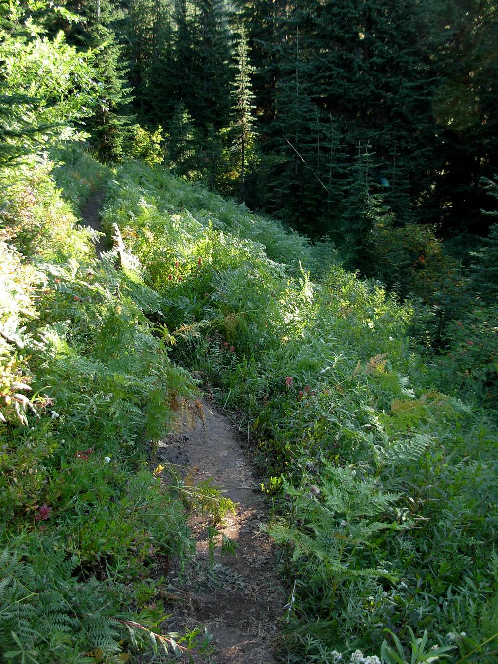 Tonga Ridge Trail