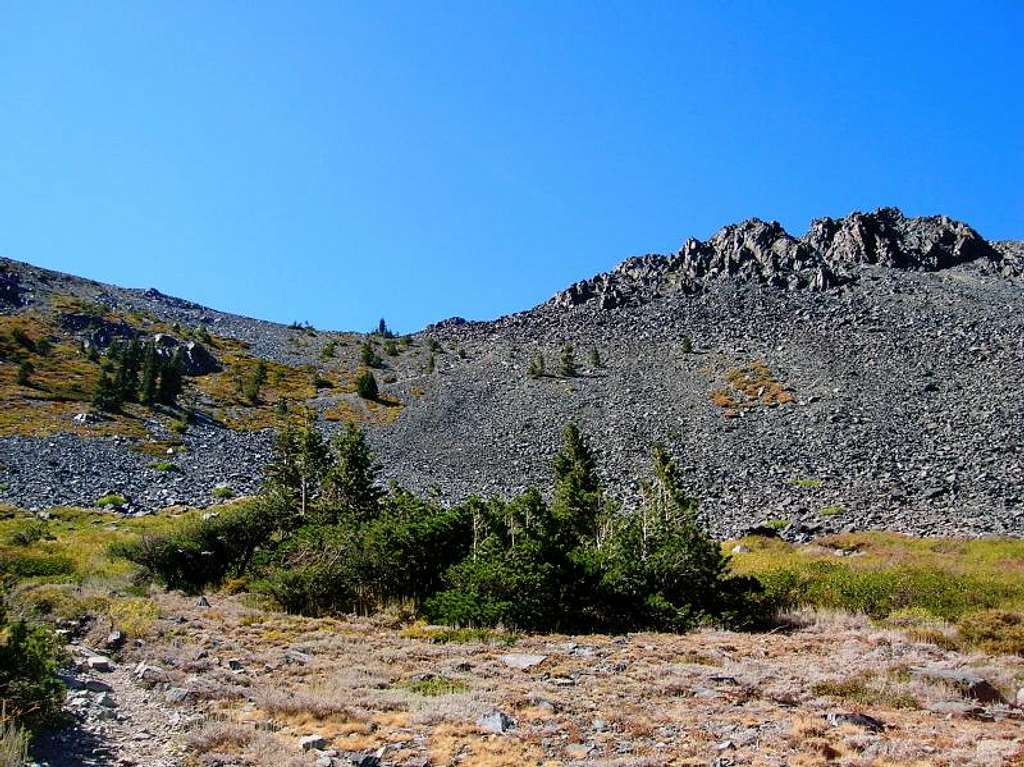 Mount Tallac Trail