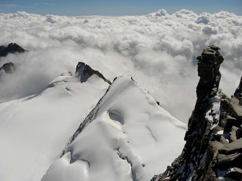 The cresta Gastaldi seen from the summit of Gran Paradiso.