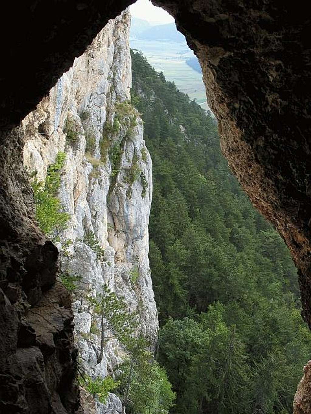 Hochfallwand from Wildenauersteig (Hohe Wand)