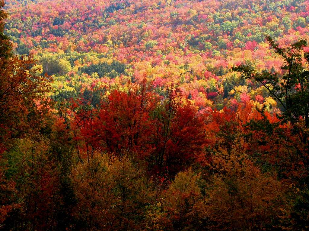 Fall colors on Mt. Washington