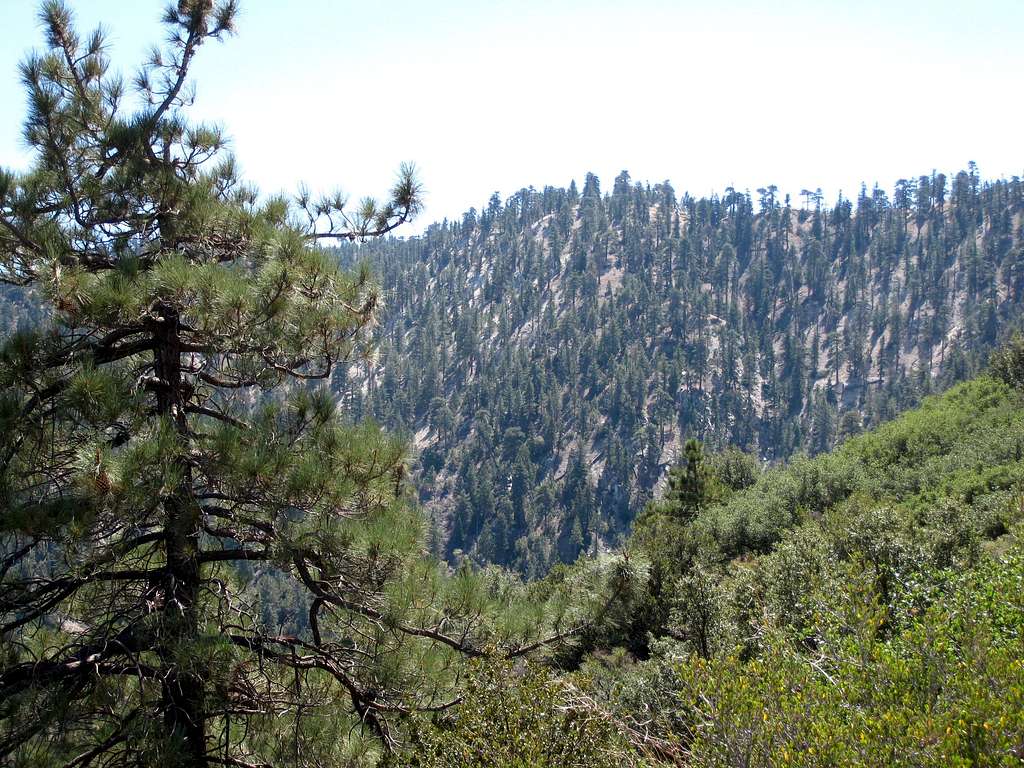 Mt. Pacifico (8332') from PCT