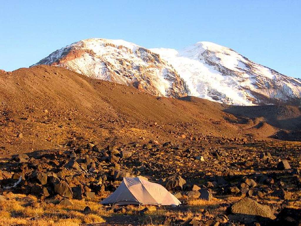 Tent with Adams Glacier in background