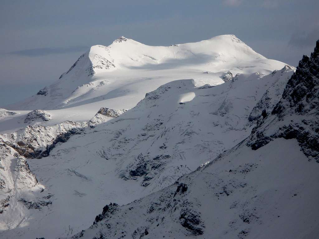 Cevedale from Bärenkopf, 2948 m
