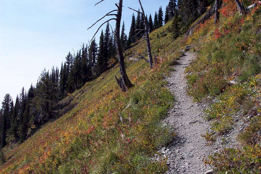 Alpine Trail #7