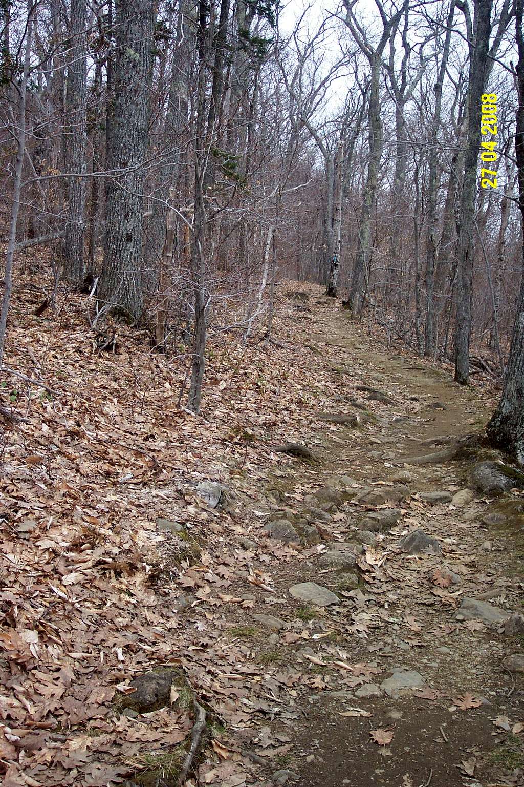 Megunticook trail