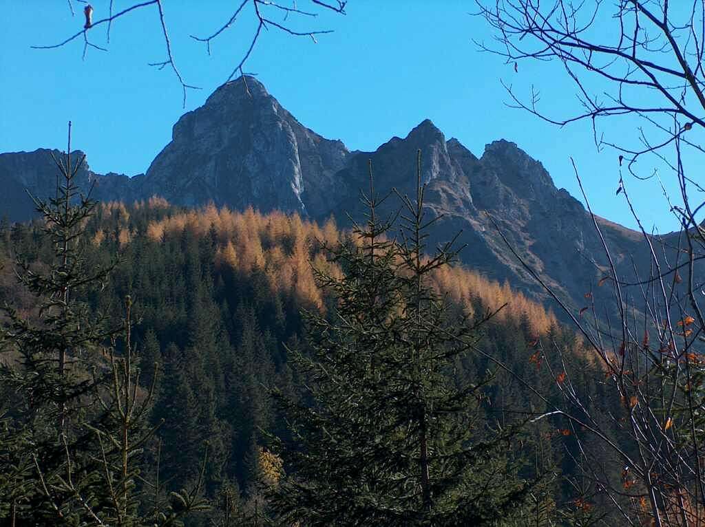 Giewont from Dolina Małej Łąki