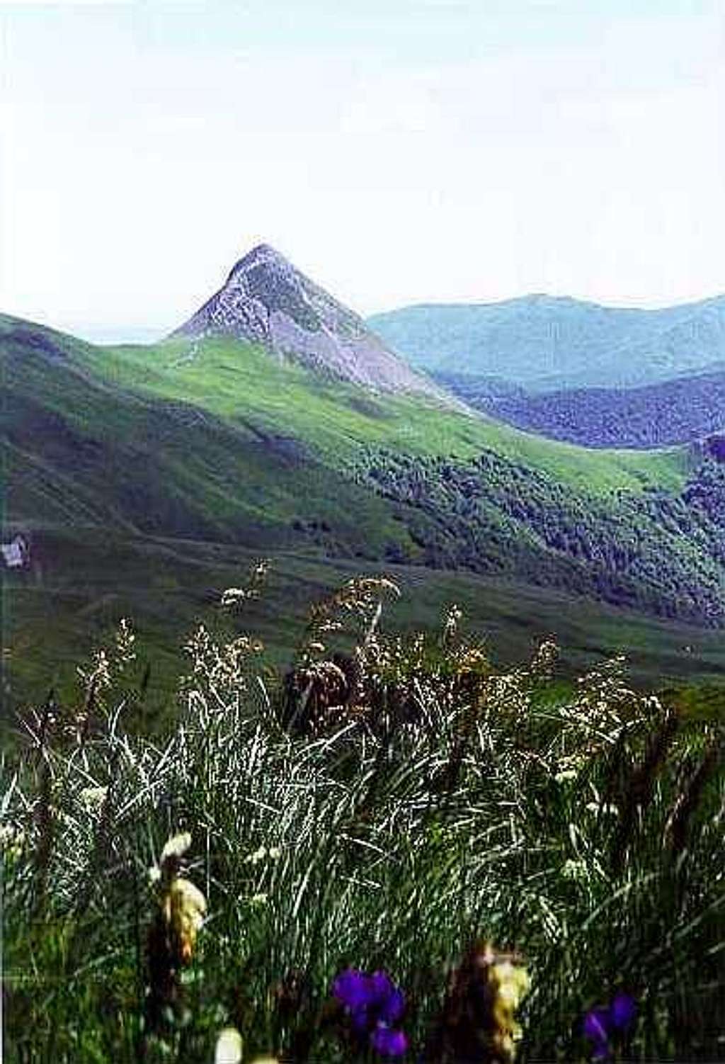 Puy Griou, Cantal