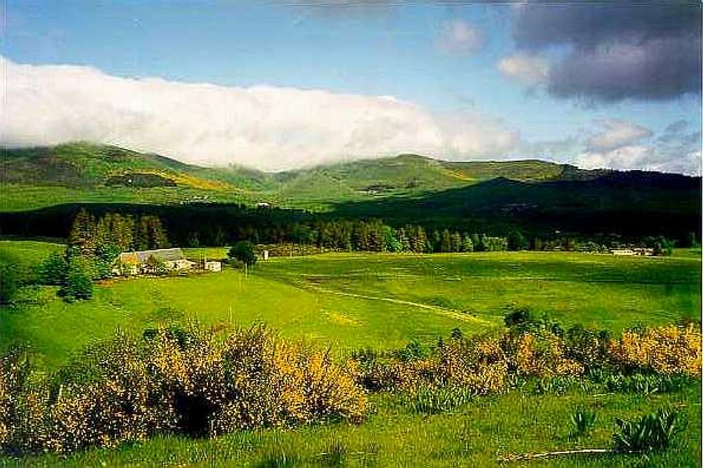 Near Courbanges, Sancy