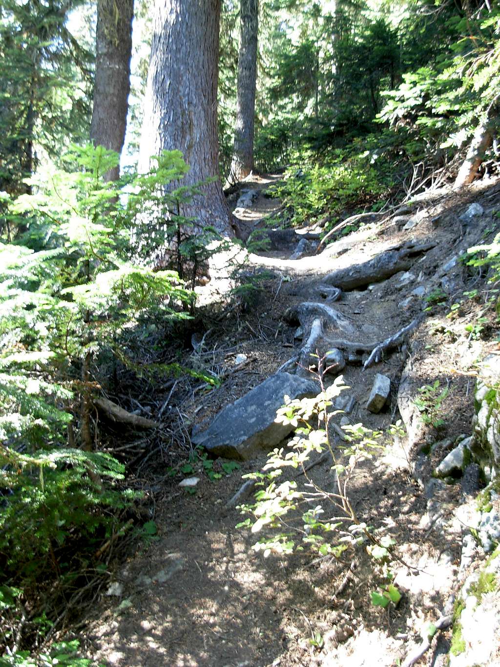 Little Wenatchee Ridge Trail