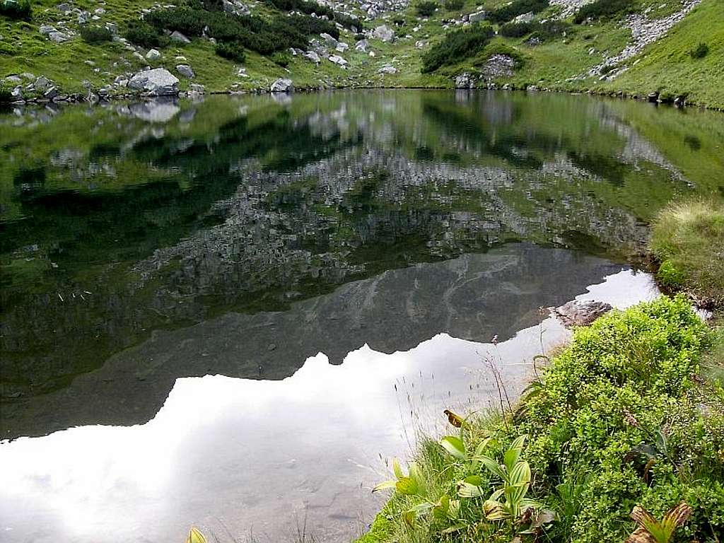 Rohackie Ponds