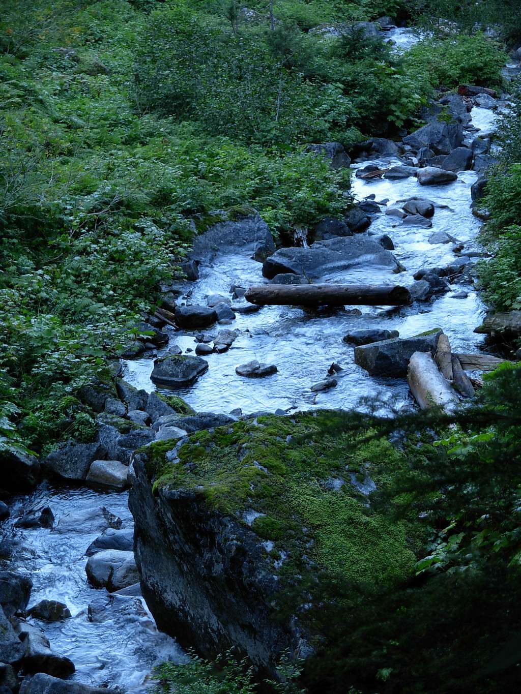 Surprise Creek Trail